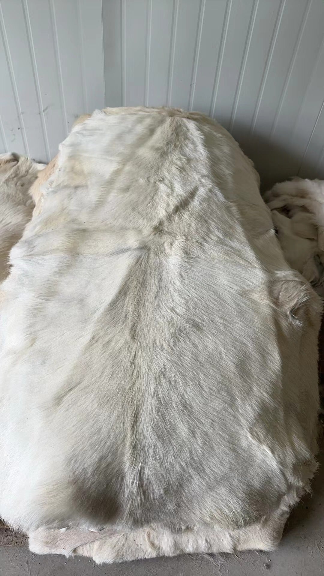 genuine goat skin